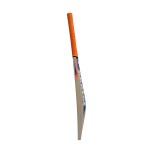Protos Twister Kashmir Willow Cricket Bat (SH)