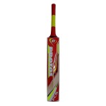 Protos Whirlwind English Willow Cricket Bat (SH)