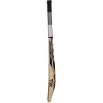 SS Blast English Willow Cricket Bat (SH)