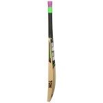 SS Mammoth English Willow Cricket Bat (SH)