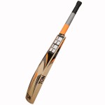 SS Orange English Willow Cricket Bat (SH)