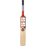 SS Professional English Willow Cricket Bat (SH)