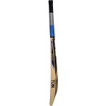 SS Sir Richards English Willow Cricket Bat (SH)