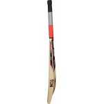 SS Ton47 English Willow Cricket Bat (SH)