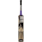 SS Josh Kashmir Willow Cricket Bat (SH)