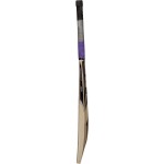 SS Josh Kashmir Willow Cricket Bat (SH)