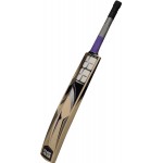 SS Josh Kashmir Willow Cricket Bat (SH)