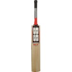 SS R7 Kashmir Willow Cricket Bat (SH)
