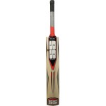 SS R7 Kashmir Willow Cricket Bat (SH)