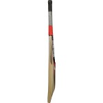 SS R7 Kashmir Willow Cricket Bat (SH)