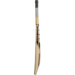 SS Sangakara Kashmir Willow Cricket Bat (SH)
