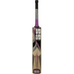 SS Slogger Kashmir Willow Cricket Bat (SH)