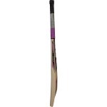 SS Slogger Kashmir Willow Cricket Bat (SH)