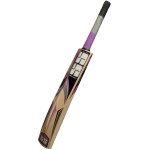 SS Slogger Kashmir Willow Cricket Bat (SH)