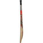SS Yuvi 20 20 Kashmir Willow Cricket Bat (SH)