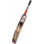 SS Yuvi 20 20 Kashmir Willow Cricket Bat (SH)