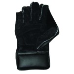 SS College Wicket Keeping Gloves (Mens)