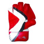 SS Match Wicket Keeping Gloves (Mens)