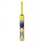 BAS Vampire Achiever English Willow Cricket Bat (SH)
