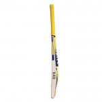 BAS Vampire Achiever English Willow Cricket Bat (SH)