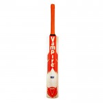 BAS Vampire Boss Kashmir Willow Cricket Bat