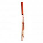 BAS Vampire Boss Kashmir Willow Cricket Bat