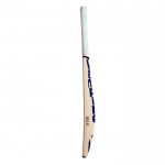 BAS Vampire Boundary English Willow Cricket Bat (SH)