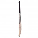 BAS Vampire Bow 20-20 English Willow Cricket Bat (SH)