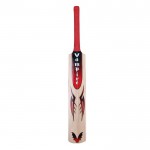 BAS Vampire Brig Power Drive Kashmir Willow Cricket Bat (SH)