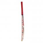 BAS Vampire Brig Power Drive Kashmir Willow Cricket Bat (SH)