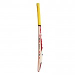 BAS Vampire Bullet Kashmir Willow Cricket Bat