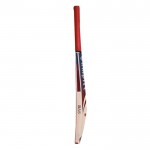 BAS Vampire Club English Willow Cricket Bat