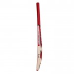 BAS Vampire Commander English Willow Cricket Bat (SH)