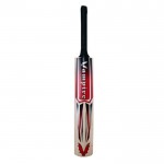 BAS Vampire King Hitter English Willow Cricket Bat (SH)