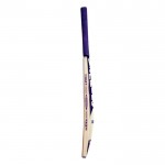 BAS Vampire Supreme Kashmir Willow Cricket Bat