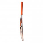BAS Vampire Legend Gold English Willow Cricket Bat (SH)