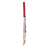 BAS Vampire Swan Stocky Kashmir Willow Cricket Bat