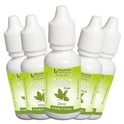 Bhumija Lifesciences Panch Tulsi 25Ml.(Pack of Five)