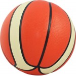 Cosco Pulse Basketball