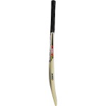 Cosco Blaster Kashmir Willow Cricket Bat