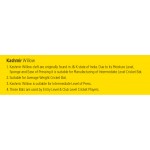 Cosco Razor Kashmir Willow Cricket Bat (SH)
