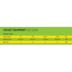 Cosco Thunder Kashmir Willow Cricket Bat (Full Size)