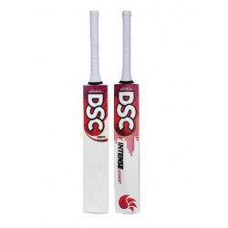 DSC Intense Assault English Willow Cricket Bat