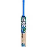 DSC Condor Aviator Kashmir Willow Cricket Bat