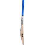 DSC Condor Aviator Kashmir Willow Cricket Bat