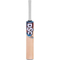 DSC Condor Blitzer Kashmir Willow Cricket Bat 