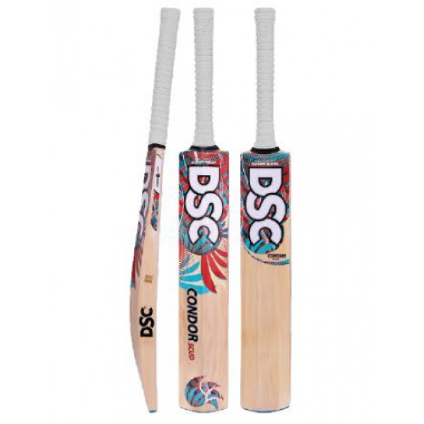DSC Condor Scud Kashmir Willow Cricket Bat