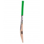 DSC Condor Sizzler Kashmir Willow Cricket Bat