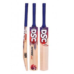 DSC Intense Spirit Kashmir Willow Cricket Bat