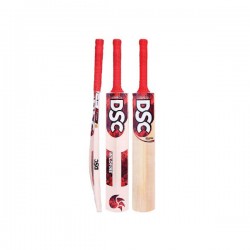 DSC Wildfire Inferno (Back Duco) Kashmir Willow Cricket Bat